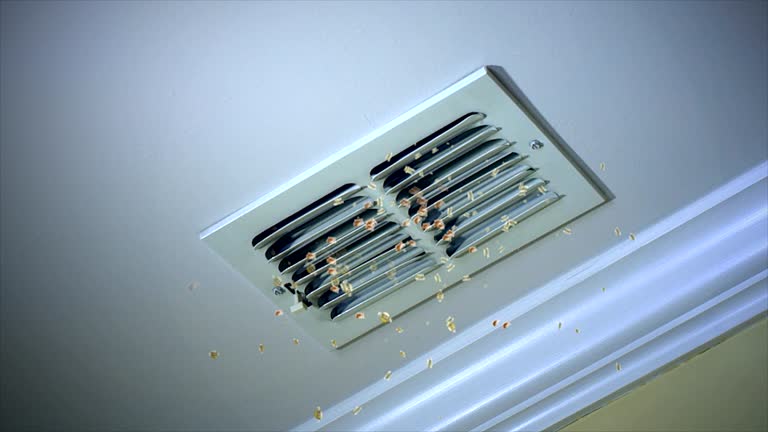 Best Air Vent Cleaning Services  in , VT