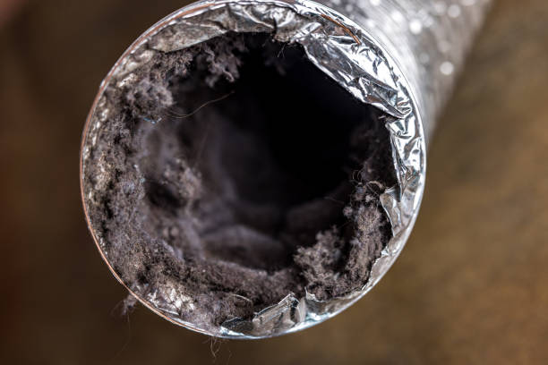 Best HVAC Air Duct Cleaning  in , VT